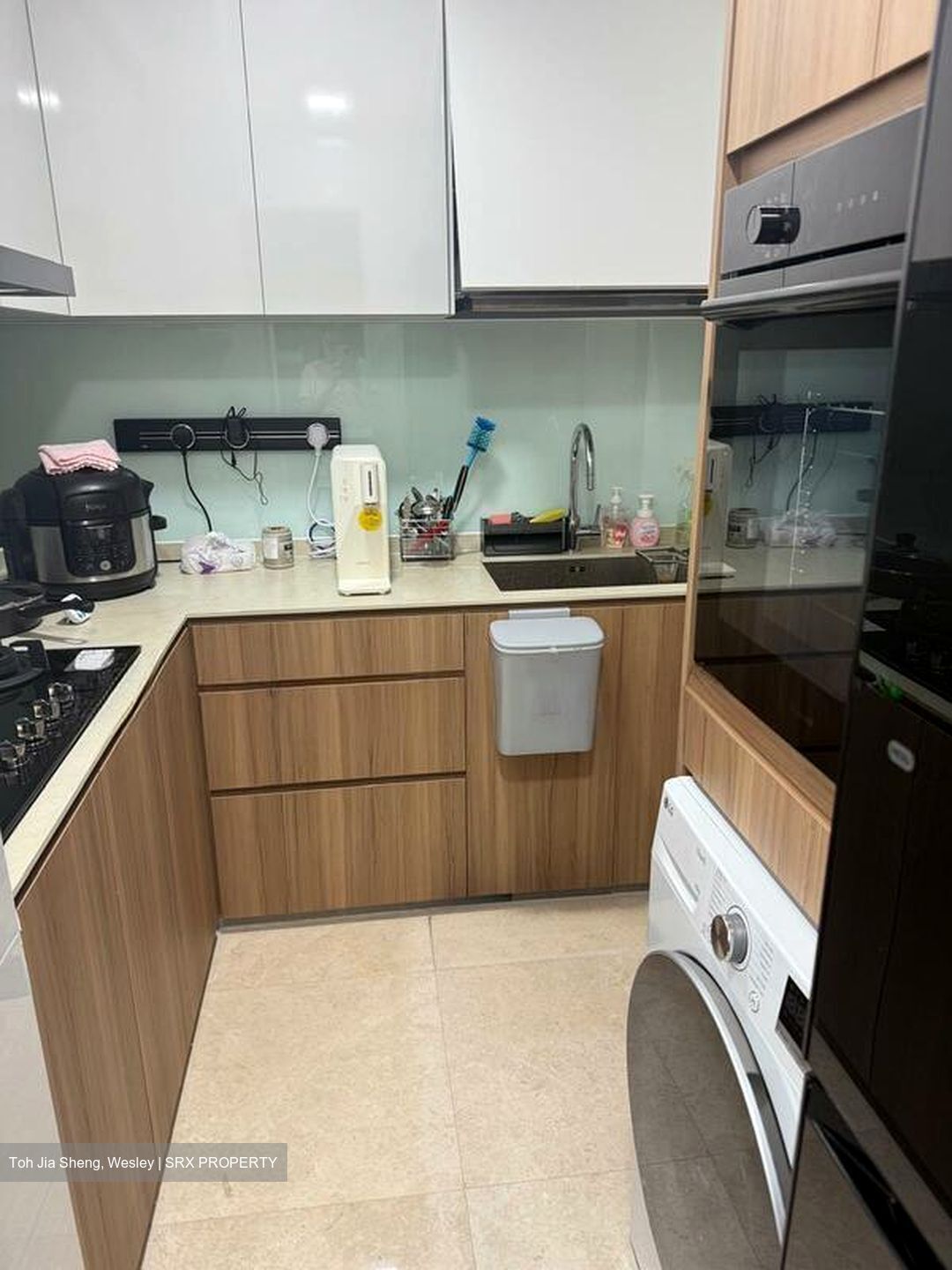 Eight Riversuites (D12), Condominium #496614741